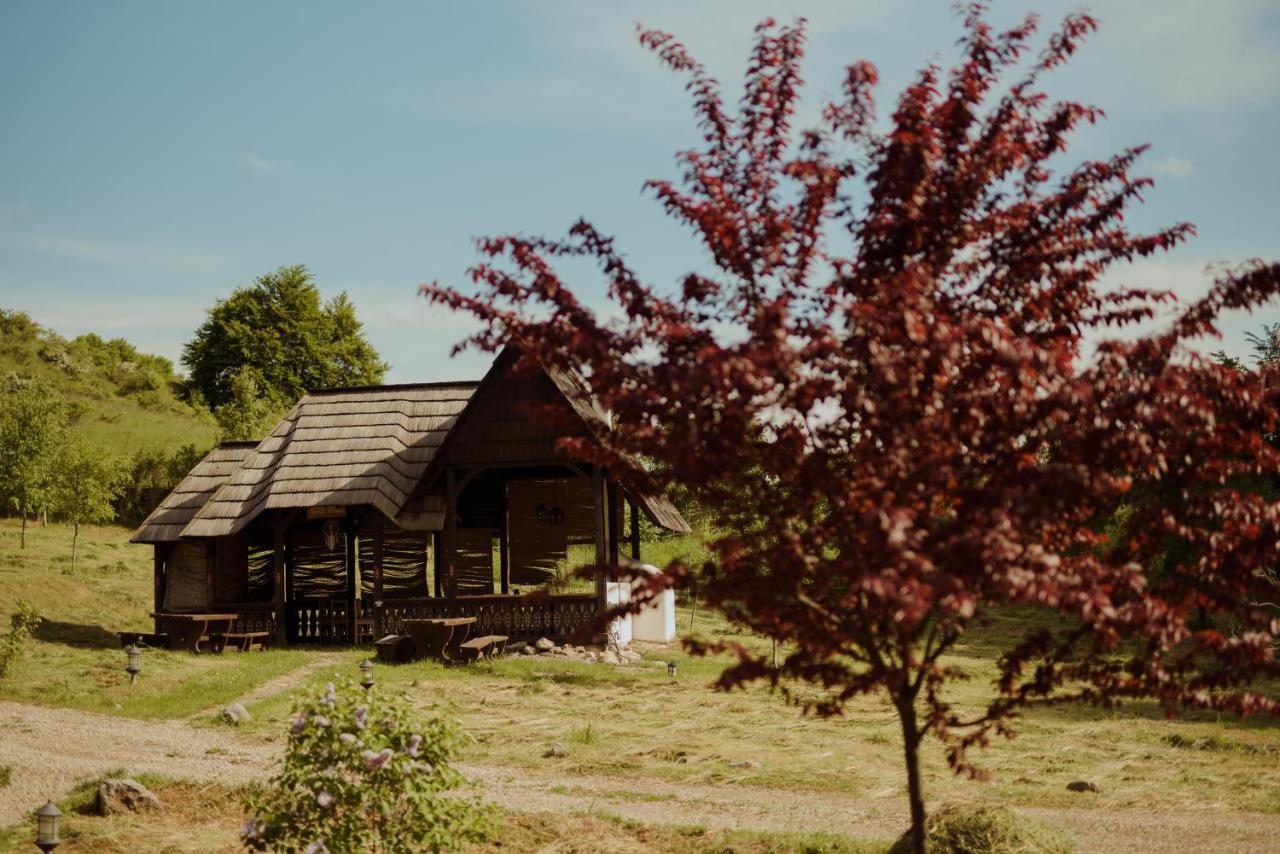 Raven'S Nest - The Hidden Village, Transylvania - Romania Sub Piatra Dış mekan fotoğraf