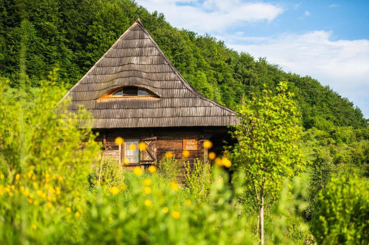 Raven'S Nest - The Hidden Village, Transylvania - Romania Sub Piatra Dış mekan fotoğraf
