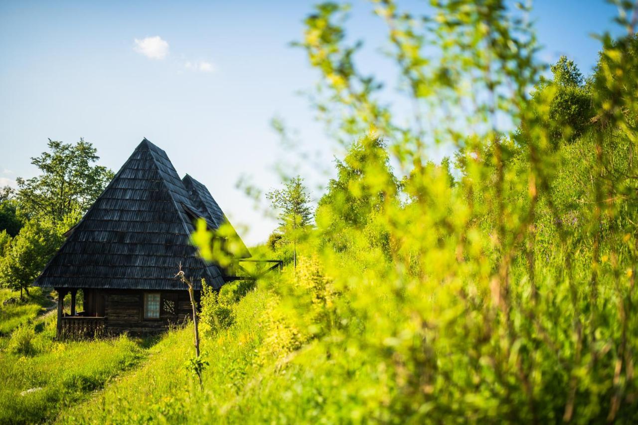Raven'S Nest - The Hidden Village, Transylvania - Romania Sub Piatra Dış mekan fotoğraf